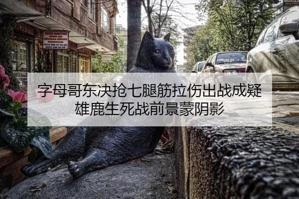 字母哥东决抢七腿筋拉伤出战成疑 雄鹿生死战前景蒙阴影